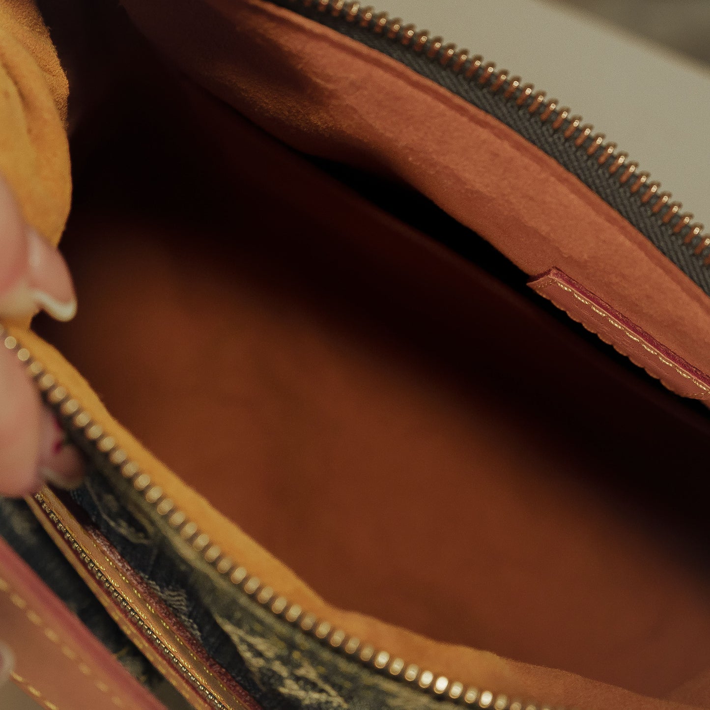 Louis Vuitton Monogram Denim Baggy PM Shoulder Bag